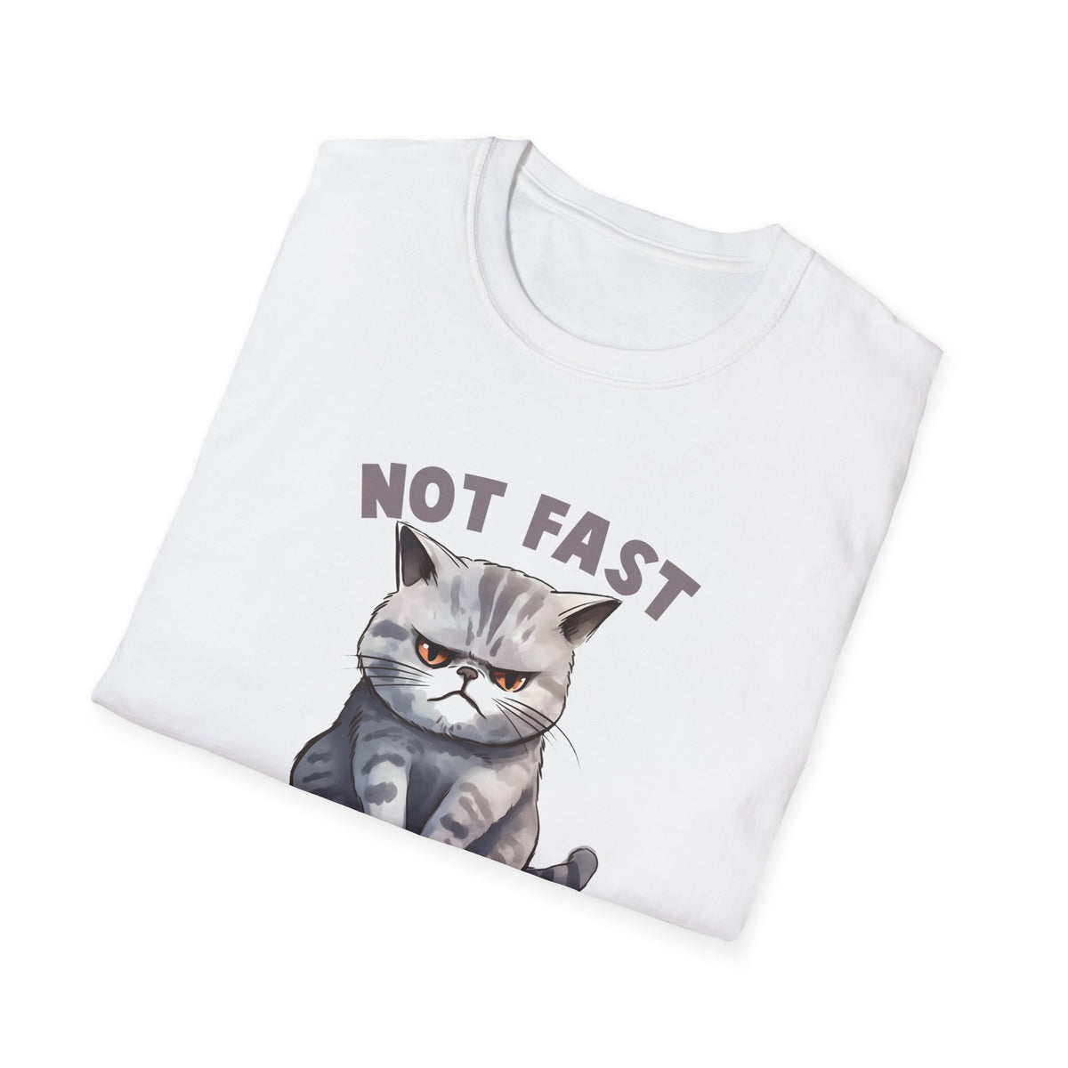 Not Fast Unisex Softstyle T-Shirt